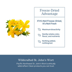 Eclectic Institute St. John's Wort bottle open with capsules