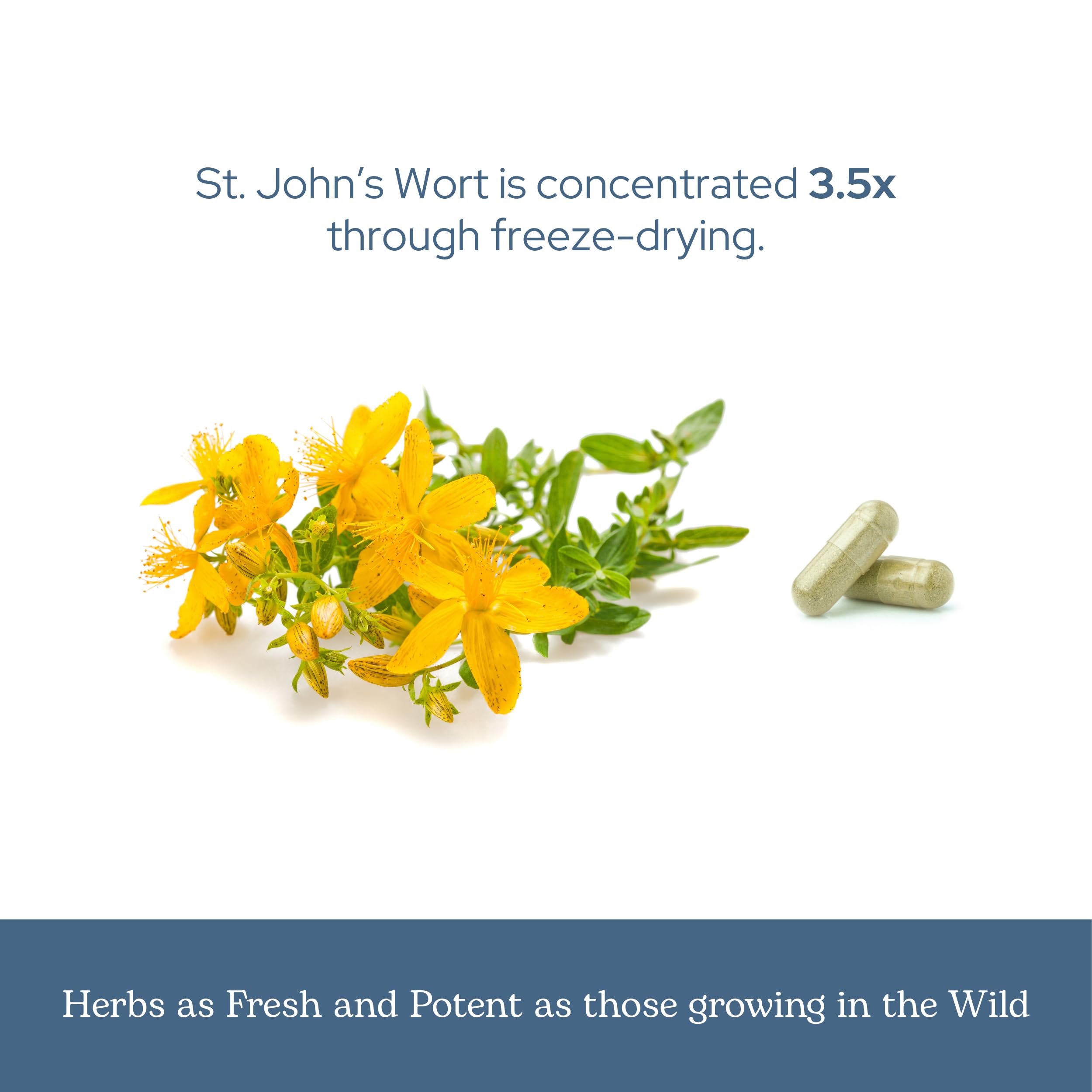 Eclectic Institute packaging highlights sustainable, planet-friendly production