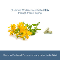 Eclectic Institute packaging highlights sustainable, planet-friendly production