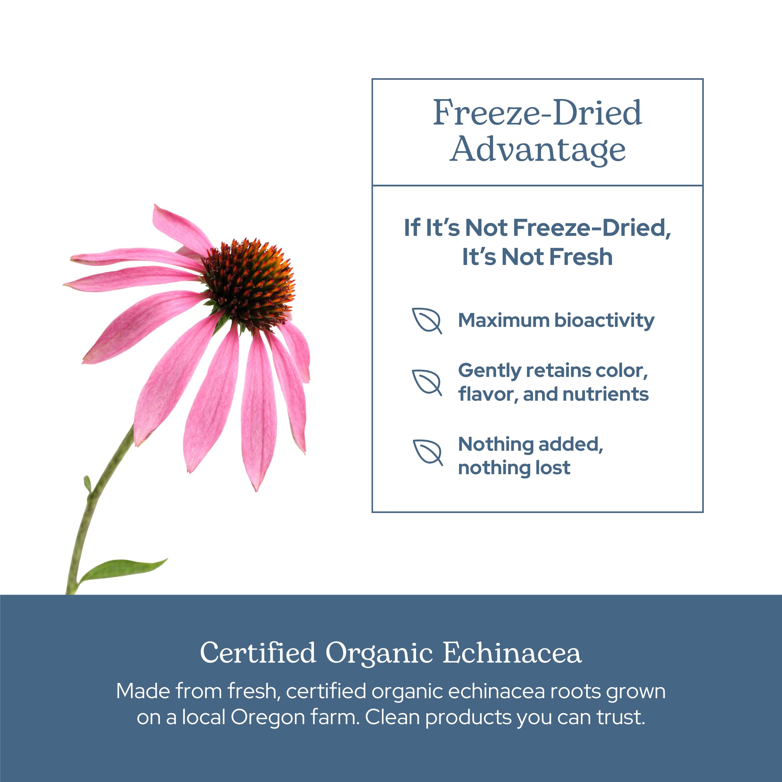 Sustainably produced small-batch packaging from ECLECTIC INSTITUTE preserves freshness