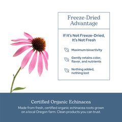 Sustainably produced small-batch packaging from ECLECTIC INSTITUTE preserves freshness