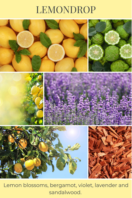 Eco Candle Co. Lemondrop tea lights showcase lemon-bergamot aroma