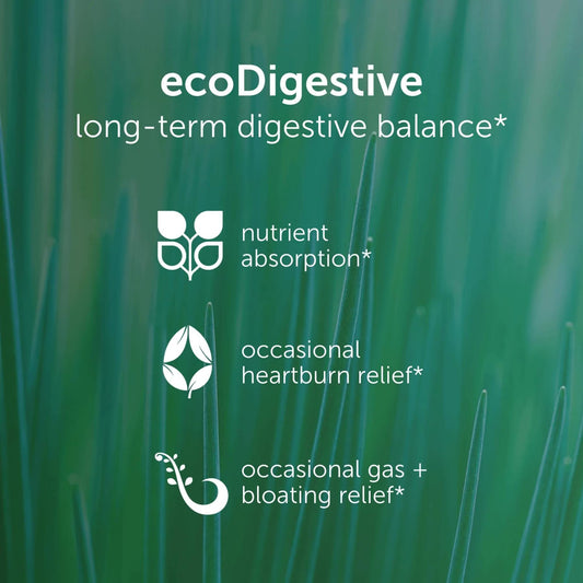 EcoNugenics EcoDigest capsules for convenient post-meal digestion support.