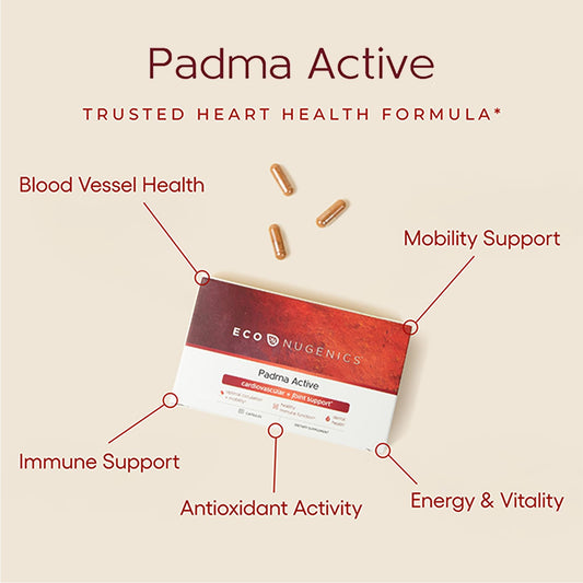 EcoNugenics Padma Active ingredients close-up highlighting the herbal blend and antioxidants.