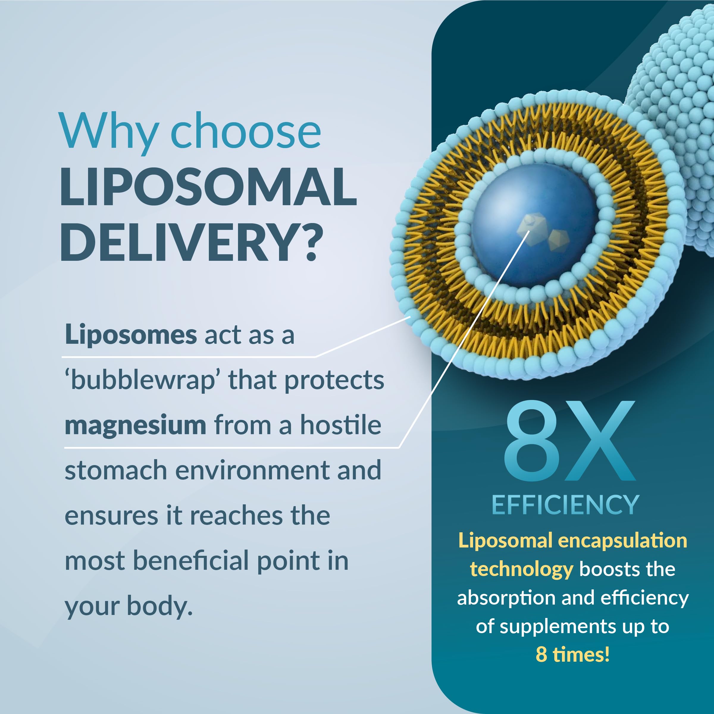 Ecosh Liposomal Magnesium Citrate capsules close-up highlights easy-to-swallow vegan capsules