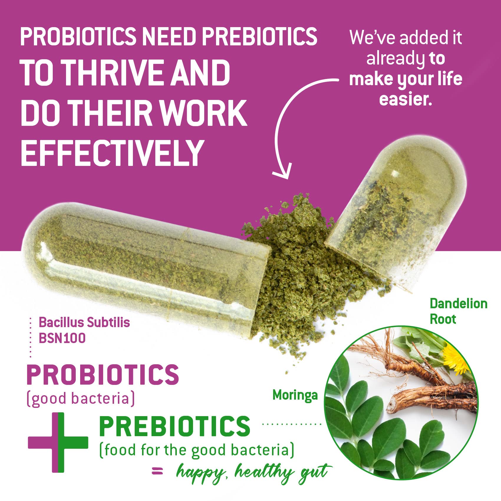 Ecosh moringa and dandelion prebiotics blend for gut fiber support