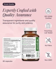 Ecosh probiotic formula supports digestive comfort and gut–vaginal health connection.
