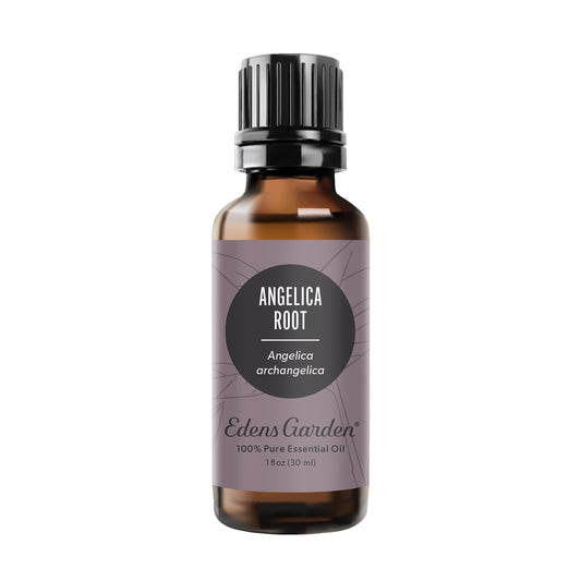 Edens Garden Angelica Root bottle with dropper for precise aromatherapy application