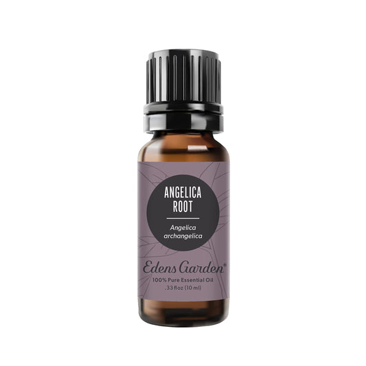 Edens Garden Angelica Root bottle for pure essential oil ready to diffuse