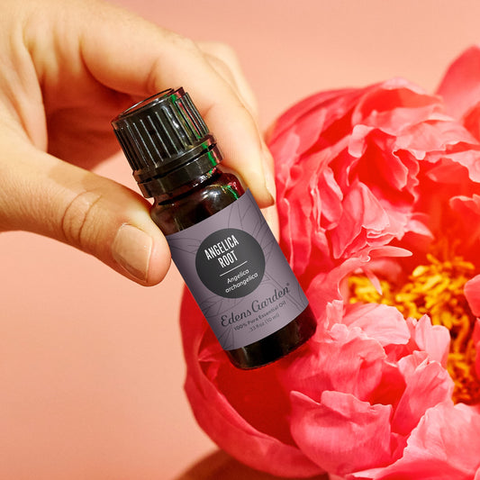 Edens Garden Angelica Root diffuser session creates grounding ambience