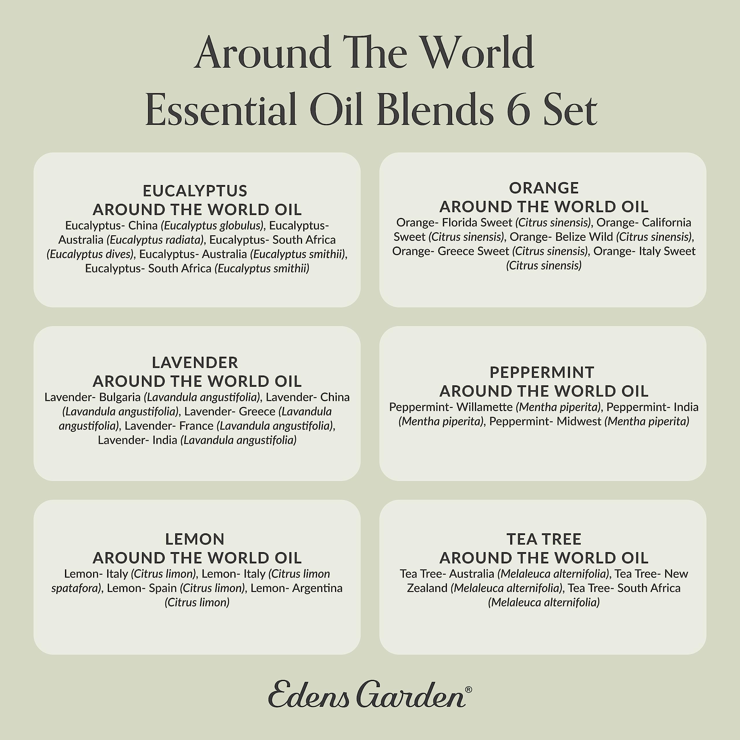 Edens Garden Aromatherapy setup using World oils for blends.