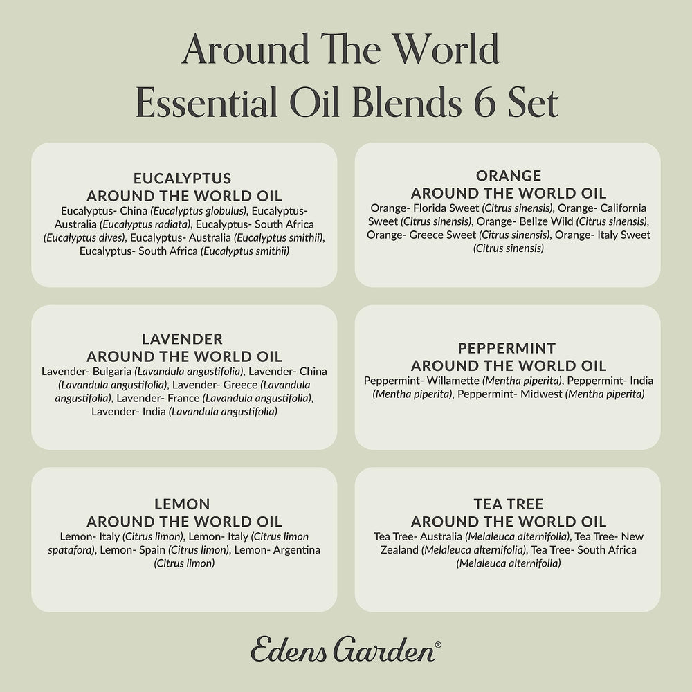 Edens Garden Aromatherapy setup using World oils for blends.