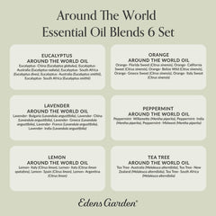 Edens Garden Aromatherapy setup using World oils for blends.