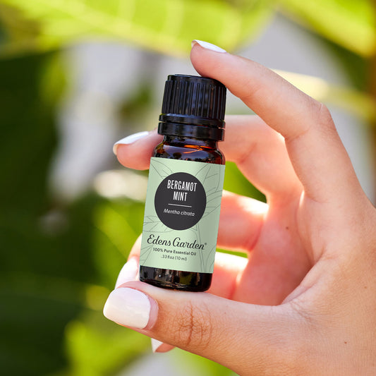 Edens Garden Bergamot Mint diffuser creating an energizing room ambiance.