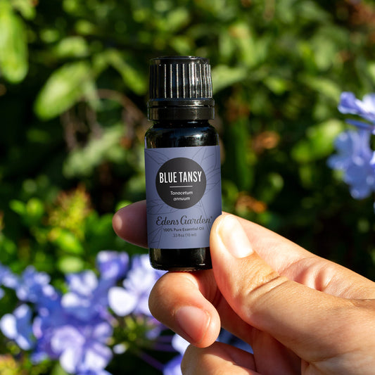 Label close-up of Edens Garden Blue Tansy oil, purity emphasized