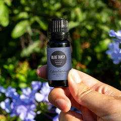 Label close-up of Edens Garden Blue Tansy oil, purity emphasized