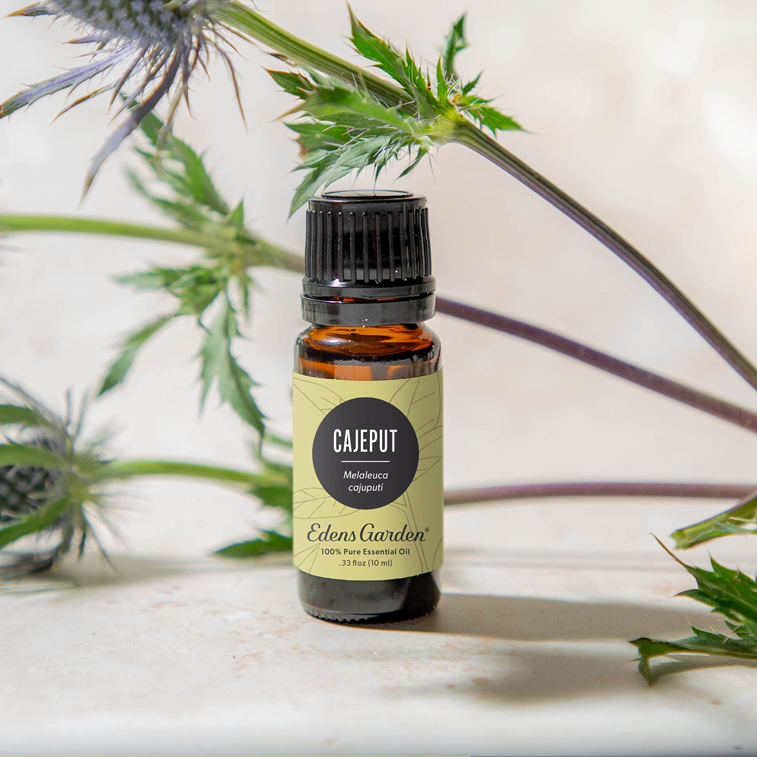 Edens Garden Cajeput oil dropper shown for precise drops and topical use.