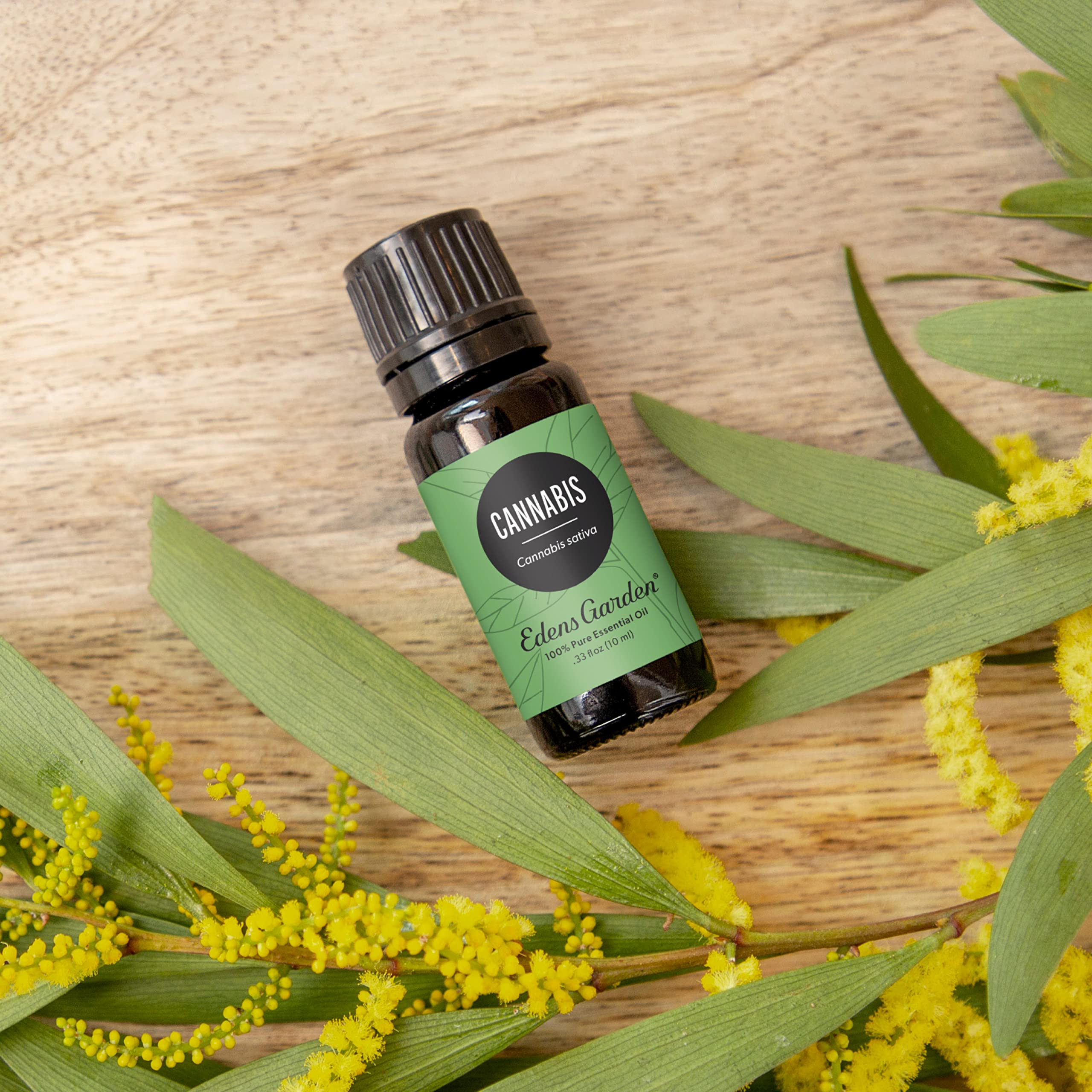Edens Garden Cannabis Essential Oil bottle near diffuser setup for room relaxation.