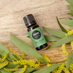 Edens Garden Cannabis Essential Oil bottle near diffuser setup for room relaxation.