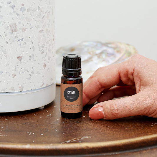 Cassia oil diffuser scene from Edens Garden showcasing inviting ambience.