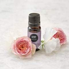 Edens Garden Catnip essential oil diffuser in a cozy room for relaxation