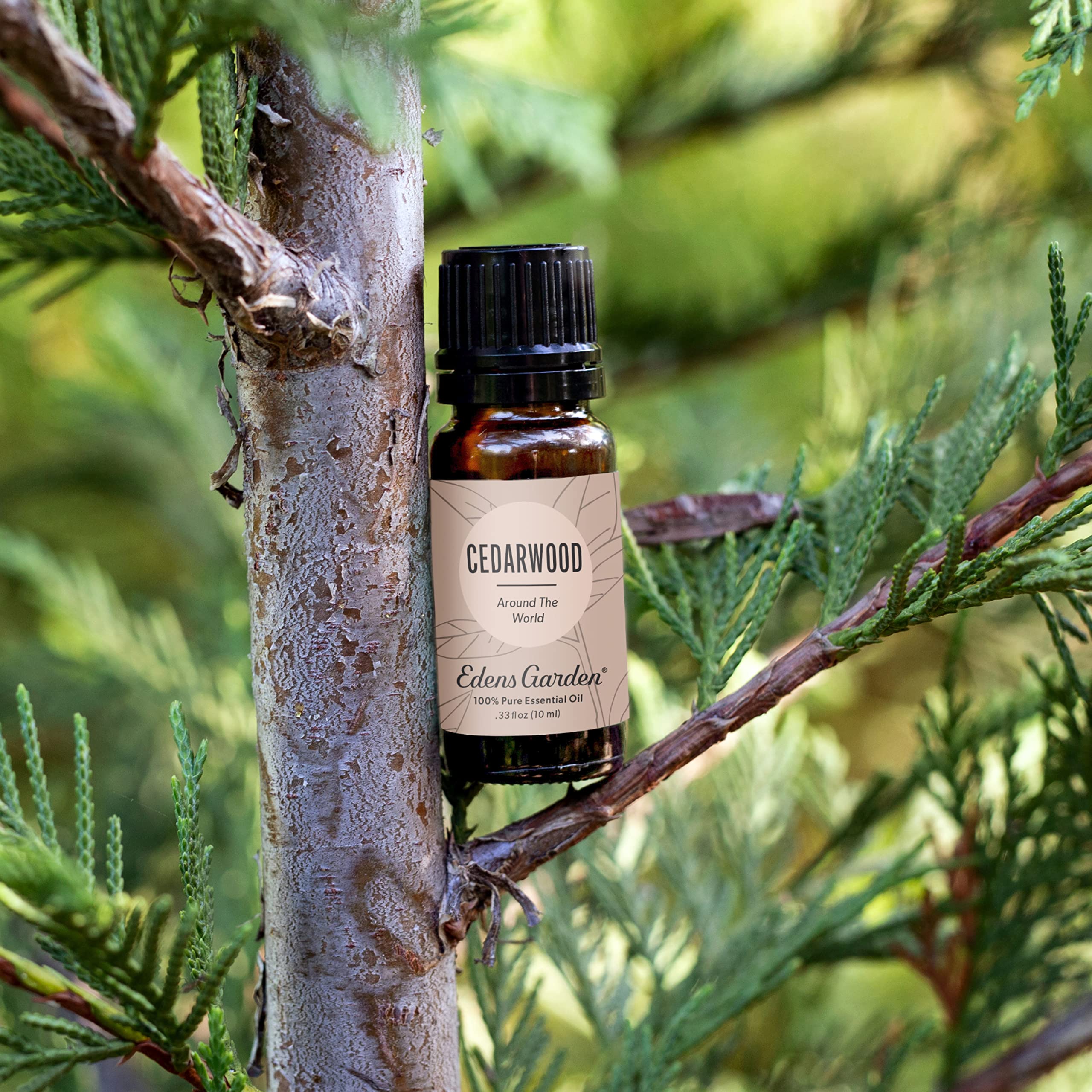 Edens Garden Cedarwood Around The World diffuser blend creates calming ambiance.