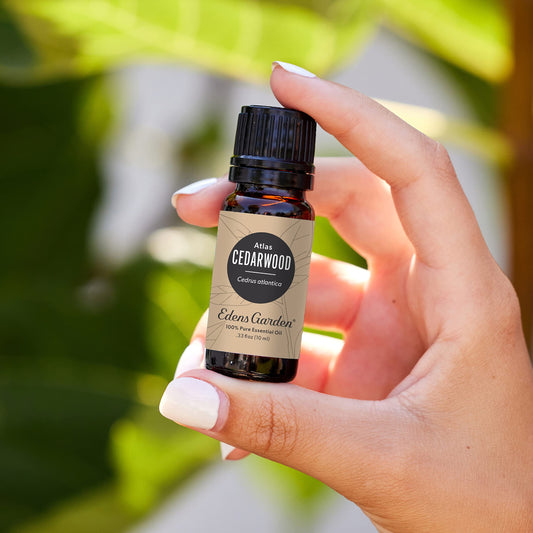 Edens Garden Cedarwood Atlas diffuser; blends warm woody notes for relaxation.