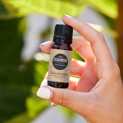 Edens Garden Cedarwood Atlas diffuser; blends warm woody notes for relaxation.