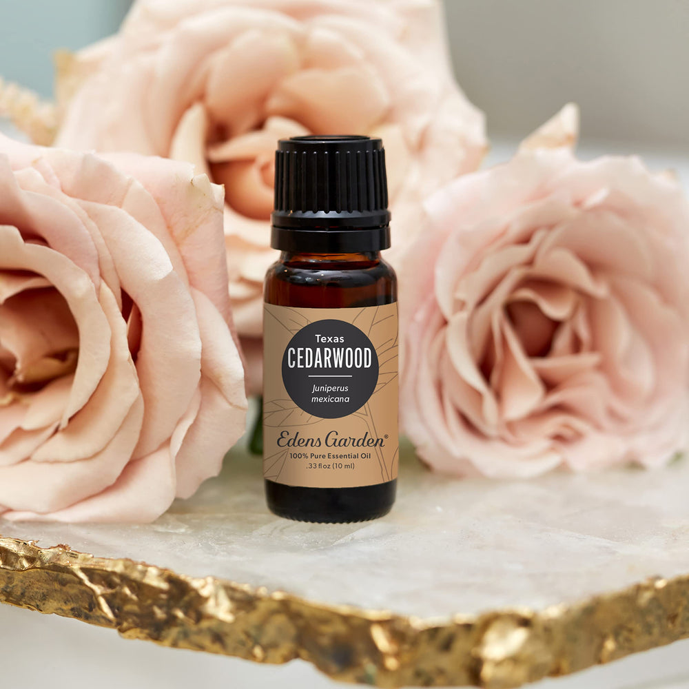 Diffuser scene with Edens Garden Cedarwood Texas oil for calm diffusion