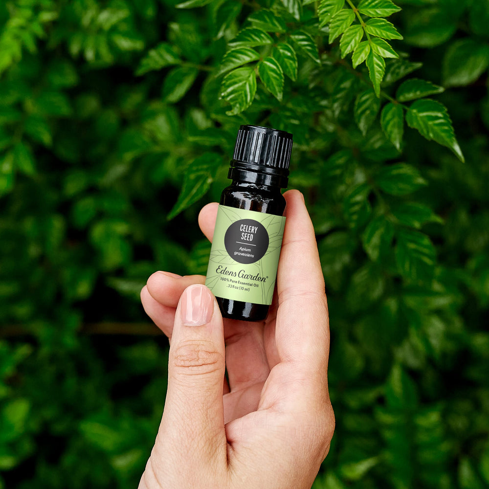 Edens Garden Celery Seed Oil diffuser scene releasing earthy aroma.