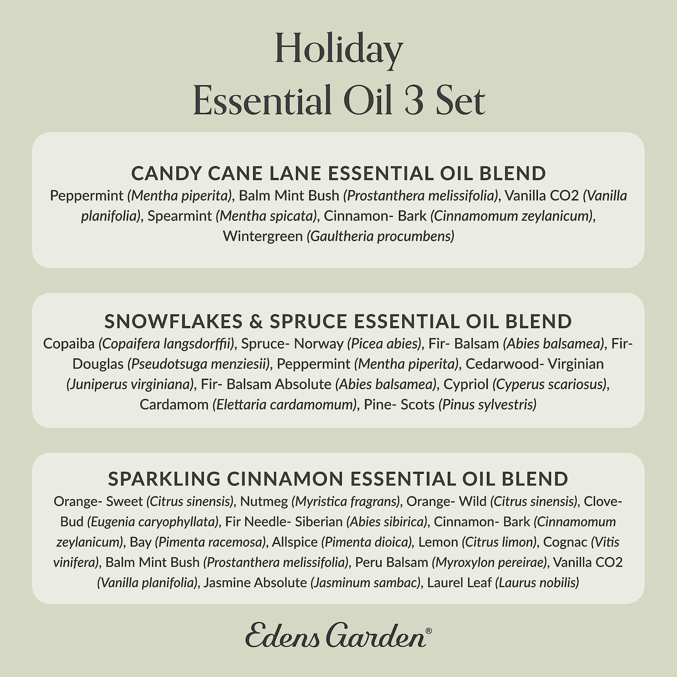 Edens Garden Christmas Blend cozy corner setup for seasonal wellbeing.