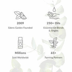 Edens Garden Cilantro Essential Oil for kitchen-aroma blending with herbs.