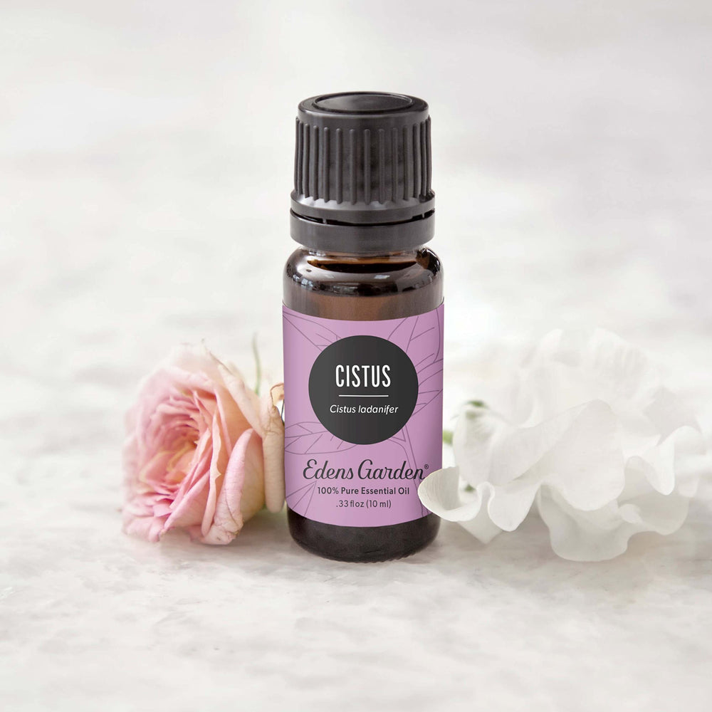 Edens Garden Cistus oil beside a diffuser for a calming aroma