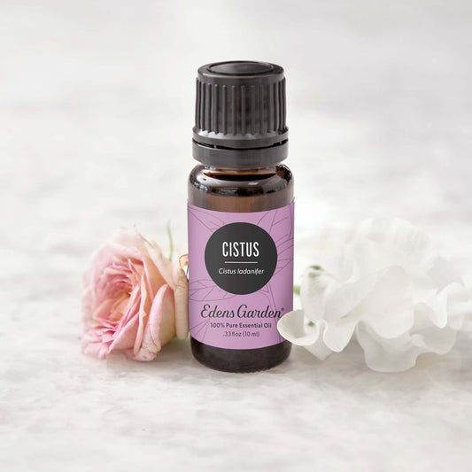 Edens Garden Cistus oil beside a diffuser for a calming aroma
