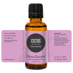 Relaxing meditation corner with diffused Cistus oil atmosphere