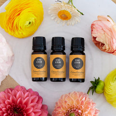 Edens Garden Citrus Cream diffuser blend ready to create a calming atmosphere