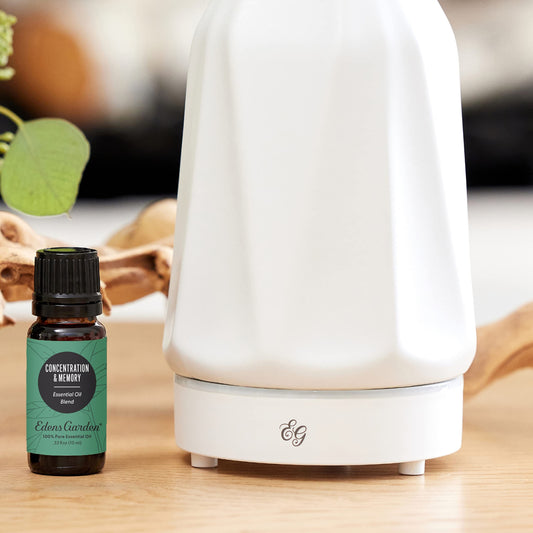 Edens Garden Concentration and Memory diffuser emits uplifting aroma for concentration.