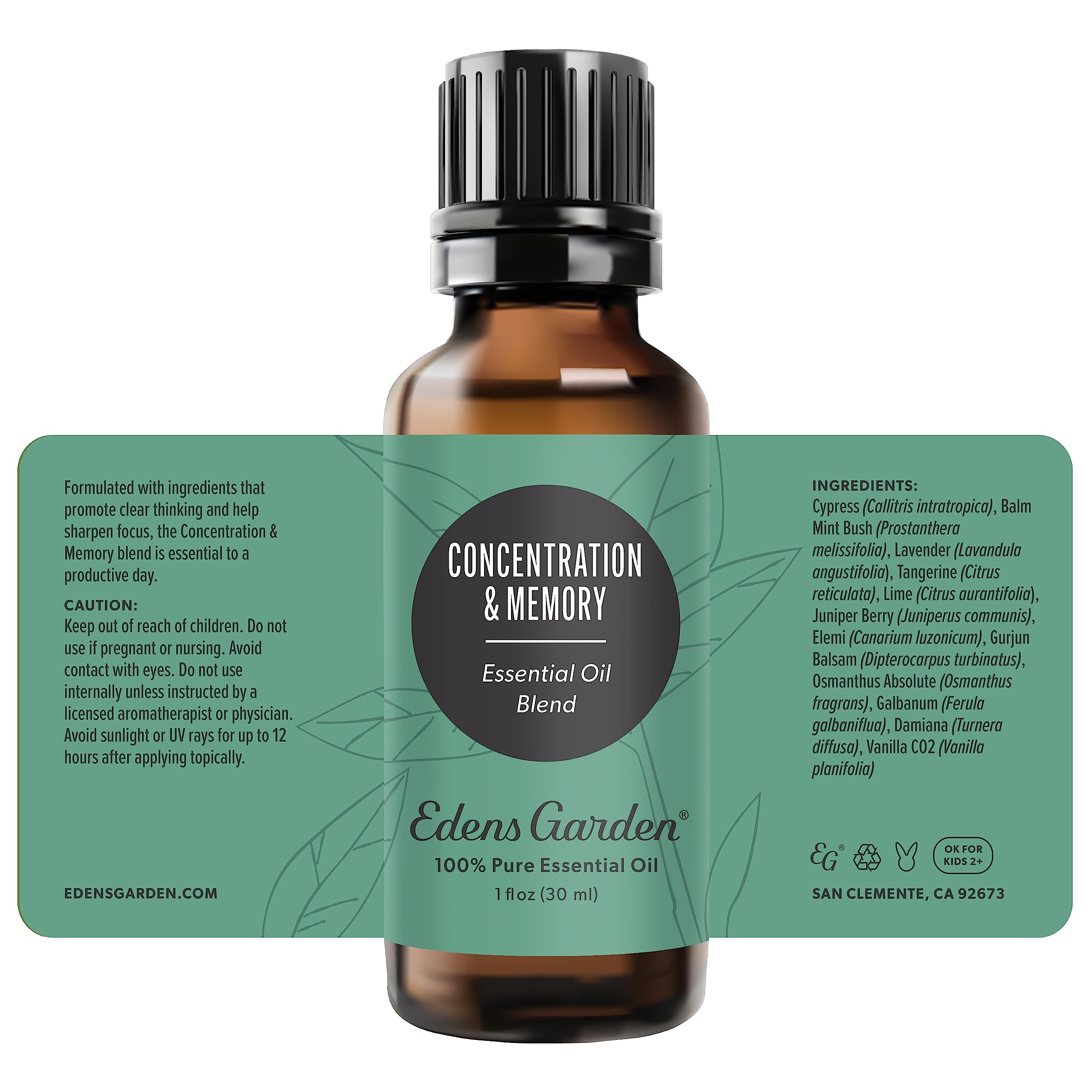 Edens Garden Concentration and Memory packaging closeup showcases premium bottle.