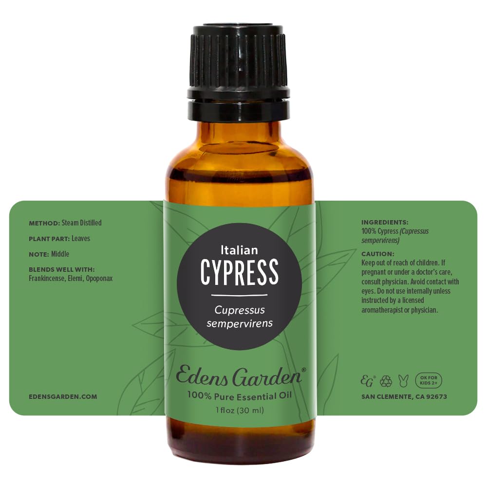 Edens Garden Cypress forest scene evoking Mediterranean calm and nature-inspired spaces.