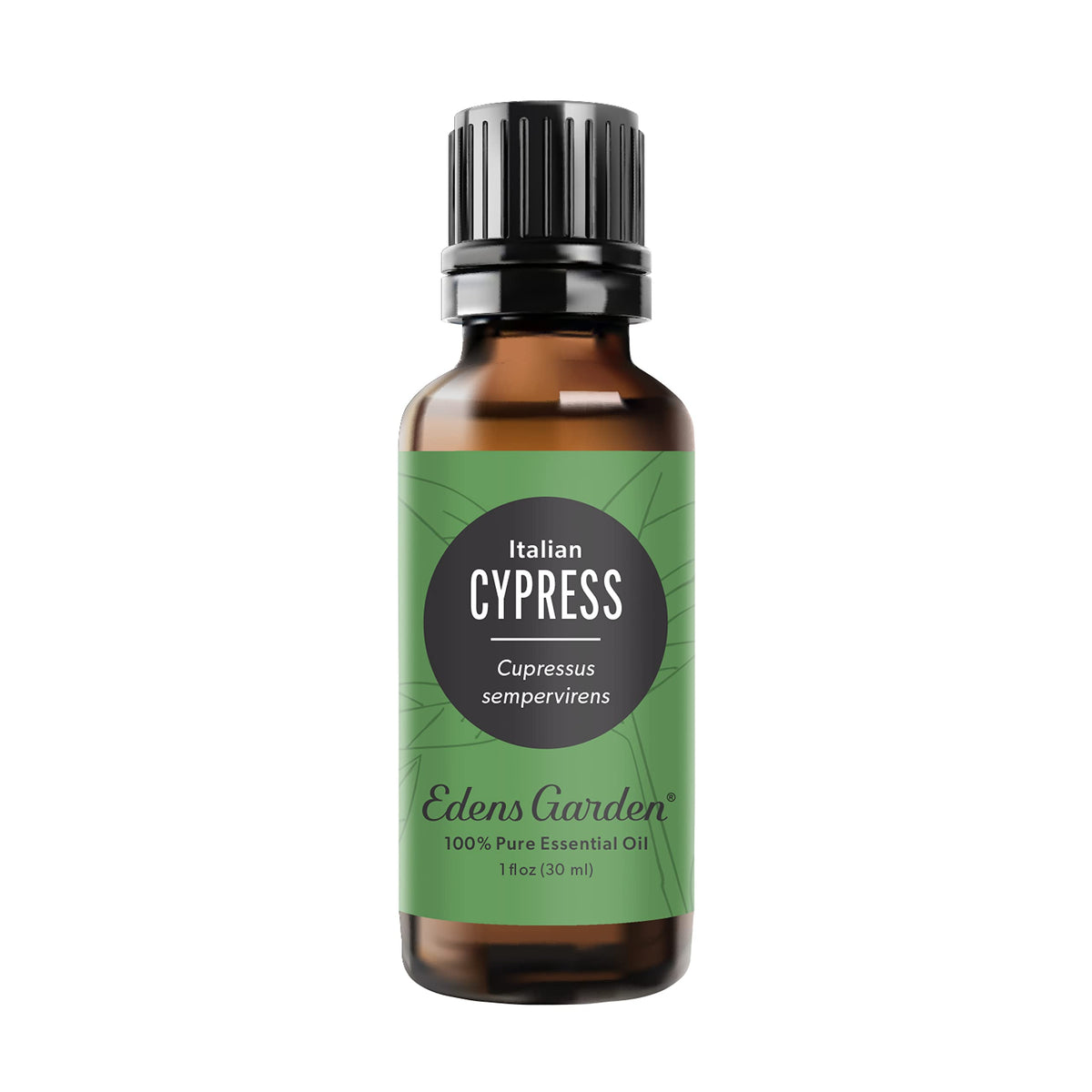 Edens Garden Cypress Italian essential oil bottle showcasing crisp aroma for calm, focused spaces.