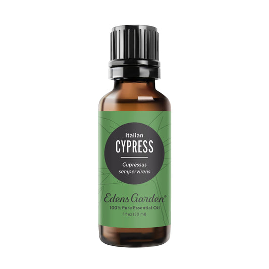 Edens Garden Cypress Italian essential oil bottle showcasing crisp aroma for calm, focused spaces.