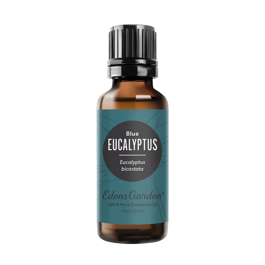 Edens Garden Eucalyptus Blue bottle pour for diffusers and invigorating air