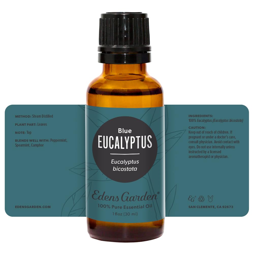 Edens Garden Eucalyptus Blue candle-use friendly oil for room scenting
