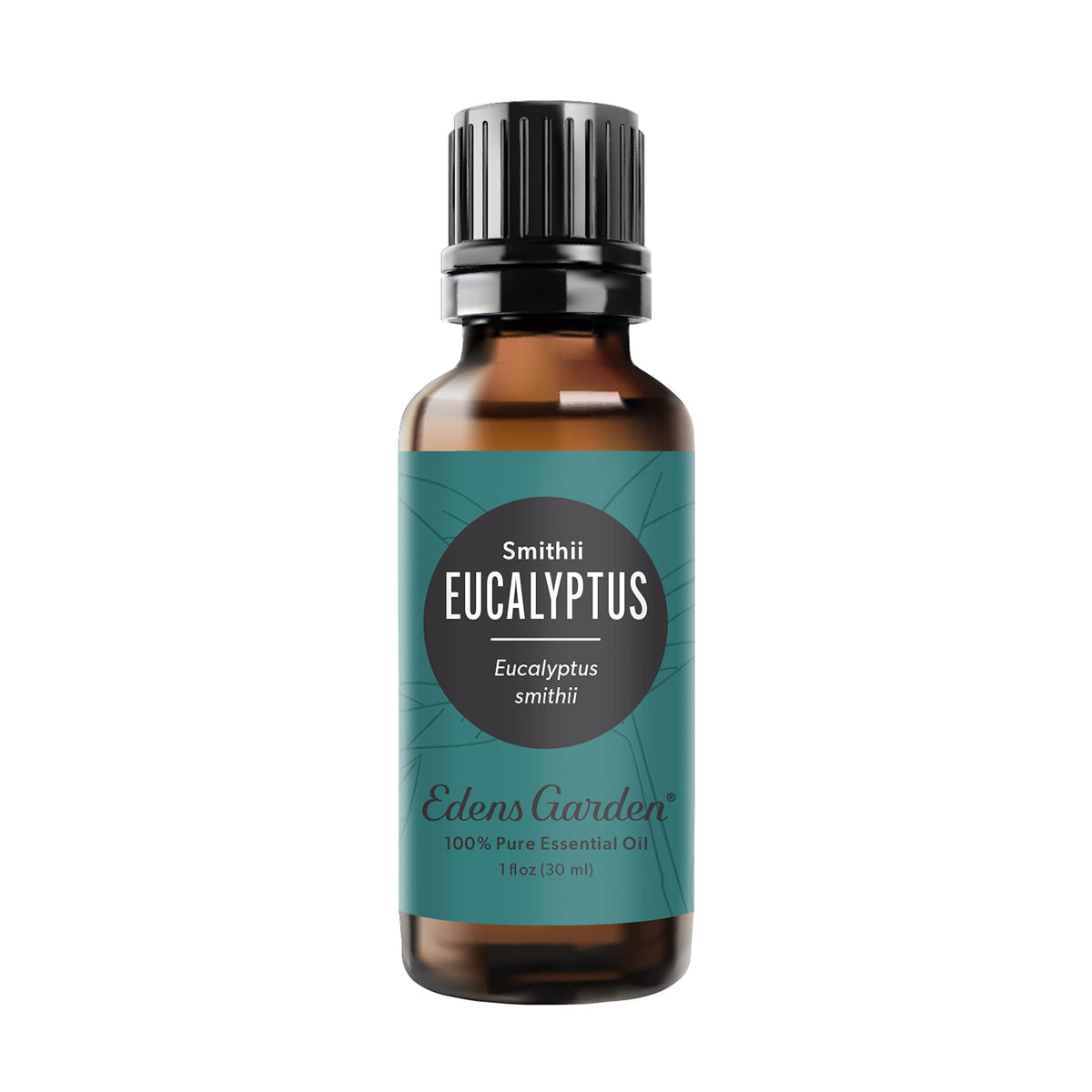 Edens Garden Eucalyptus Smithii bottle pour for a crisp aromatherapy moment.