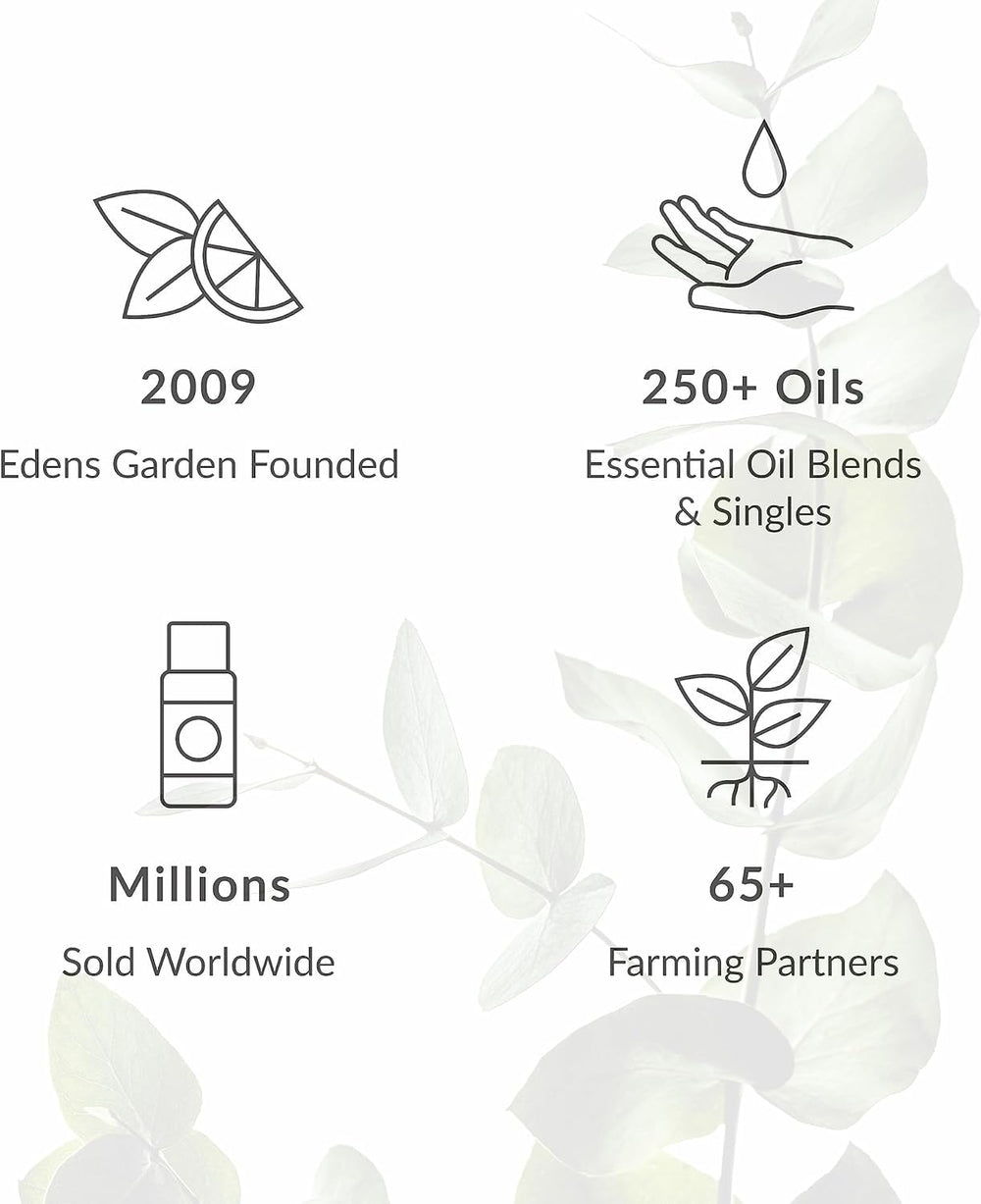 Edens Garden Eucalyptus Smithii diffuser steam releasing herbaceous aroma.