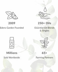 Edens Garden Eucalyptus Smithii diffuser steam releasing herbaceous aroma.