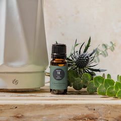 Edens Garden Fir-Balsam diffuser scene creating a warm forest aroma