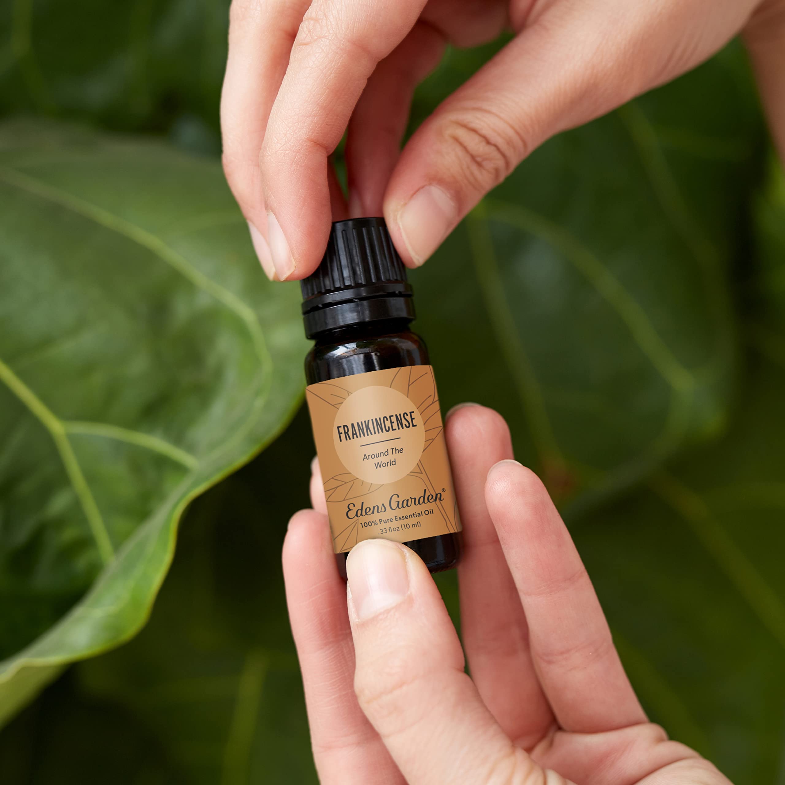 Edens Garden Frankincense dropper reveals pure aroma for diffusing