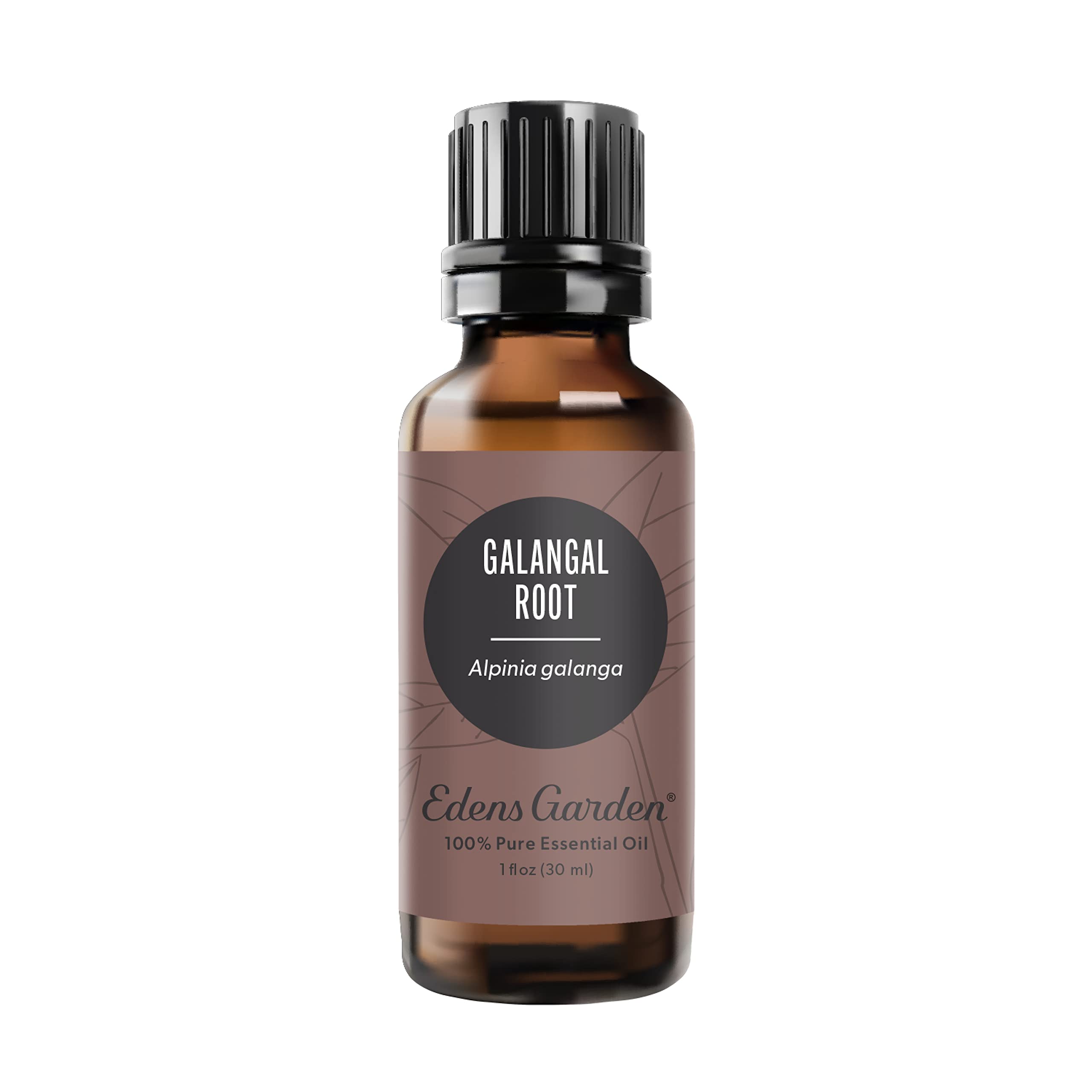 Edens Garden Galangal Root oil bottle pour for diffuser use