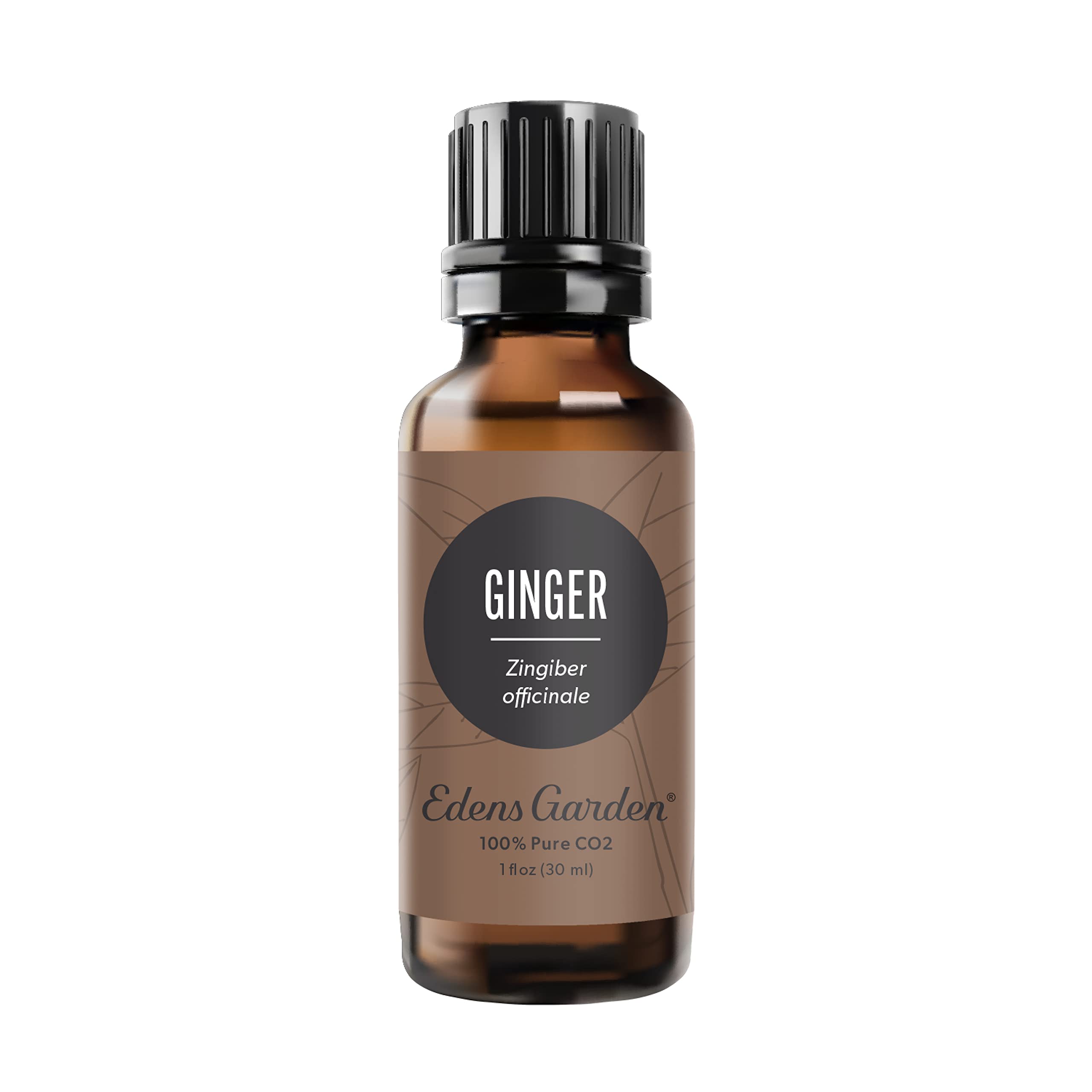 Edens Garden Ginger CO2 essential oil bottle front view for aroma diffusion to uplift mood